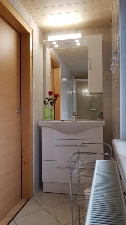 Ferienwohnung Berndt Oberweißbach エクステリア 写真