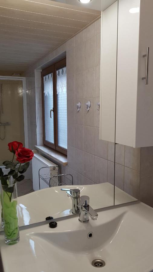 Ferienwohnung Berndt Oberweißbach エクステリア 写真