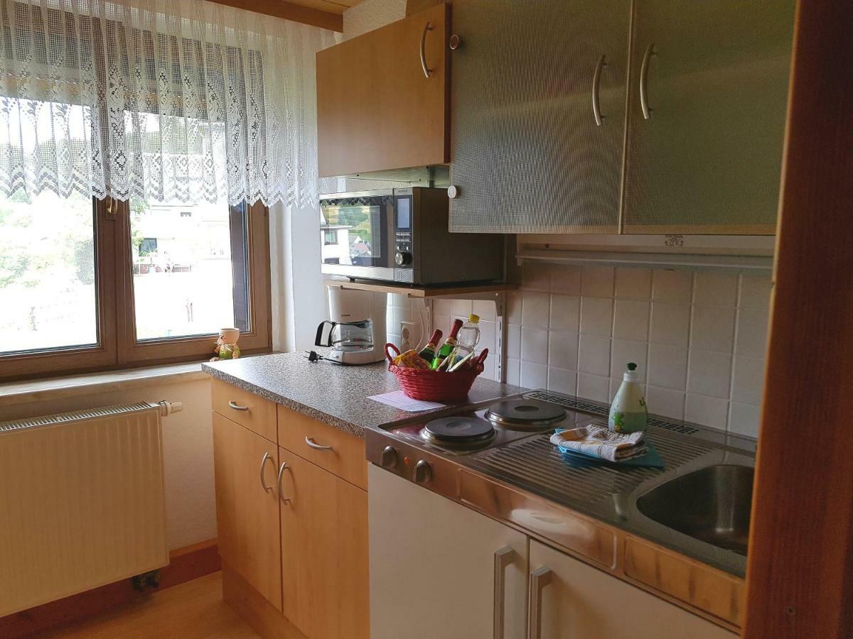 Ferienwohnung Berndt Oberweißbach エクステリア 写真