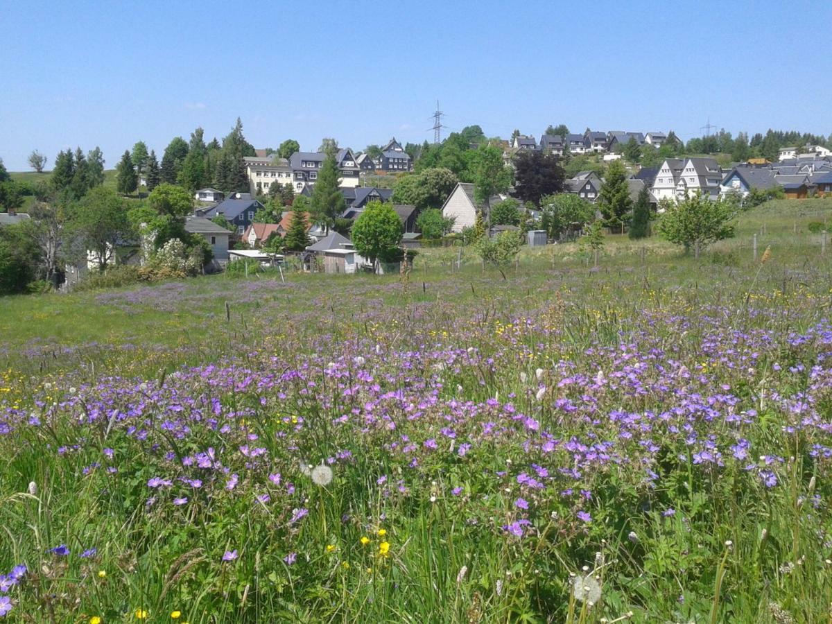 Ferienwohnung Berndt Oberweißbach エクステリア 写真